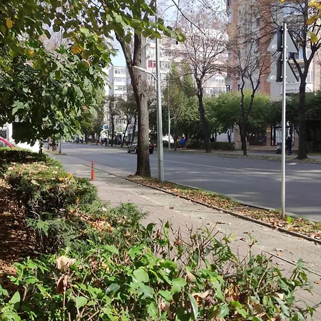 Apartment Art With Treasure Hunt, Free Parking & Self Check-in